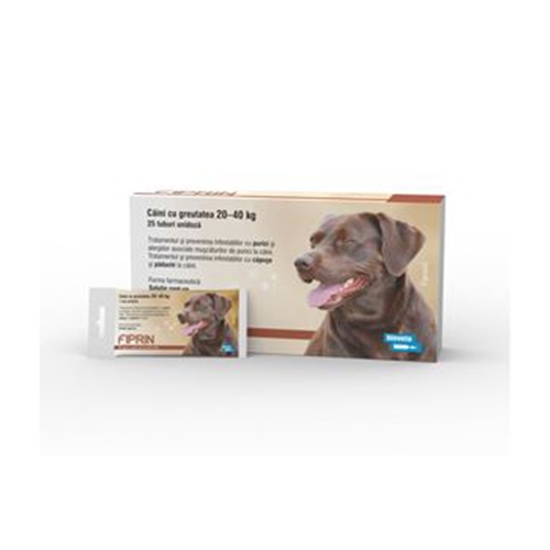 Solutie antiparazitara, Fiprin Spot Dog L, 3 x 2,68 ml