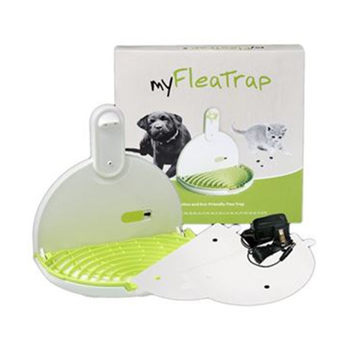 My flea trap