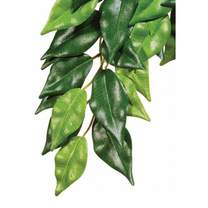 Exo terra planta ficus medium, 55 cm