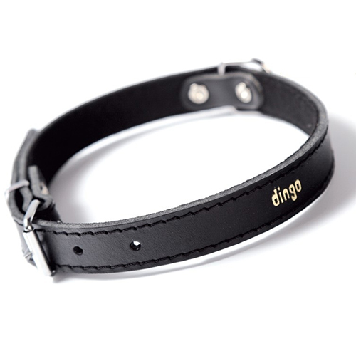 Zgarda piele caine dingo-negru-36 cm-1,2 cm