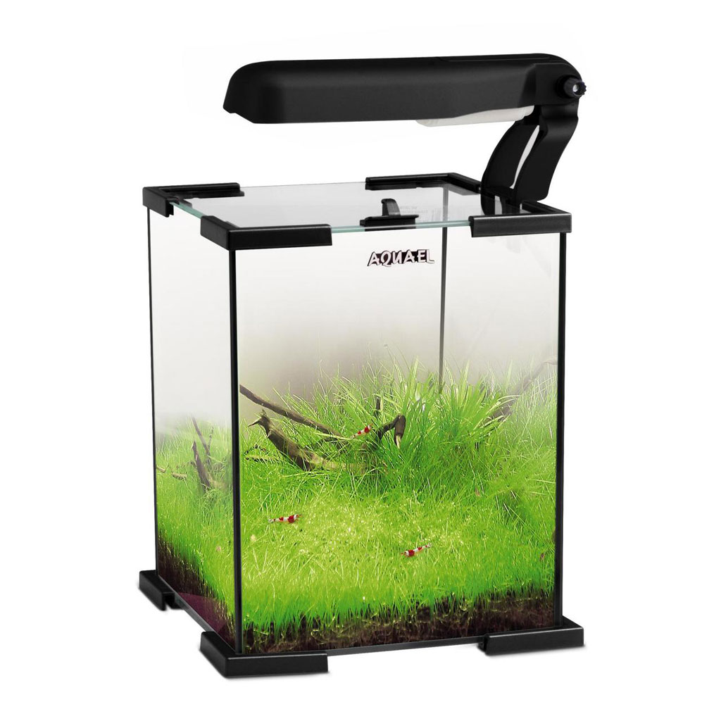 Acvariu aquael shrimp 10
