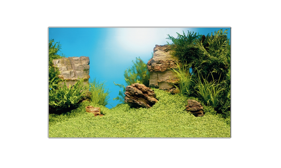 Juwel decor poster s