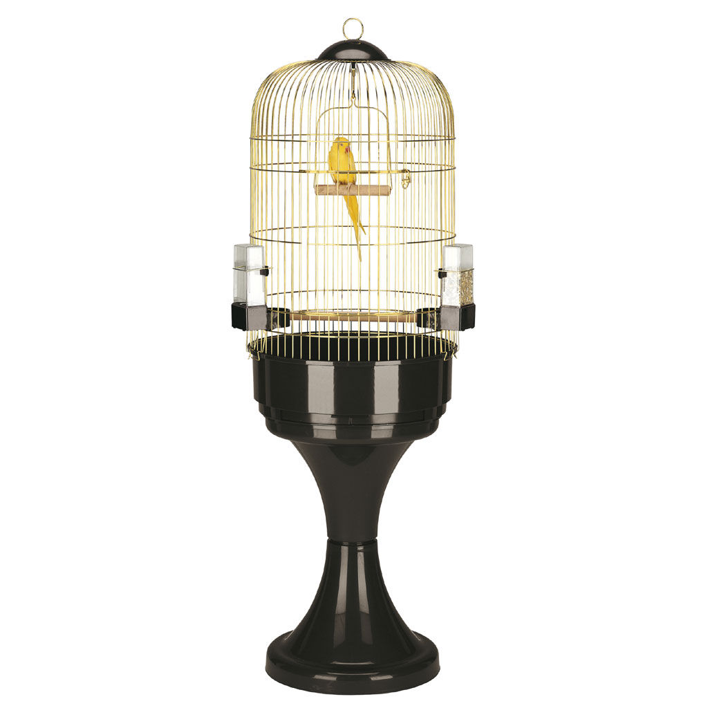 Colivie max 6 negru / auriu, 53 x 160 cm