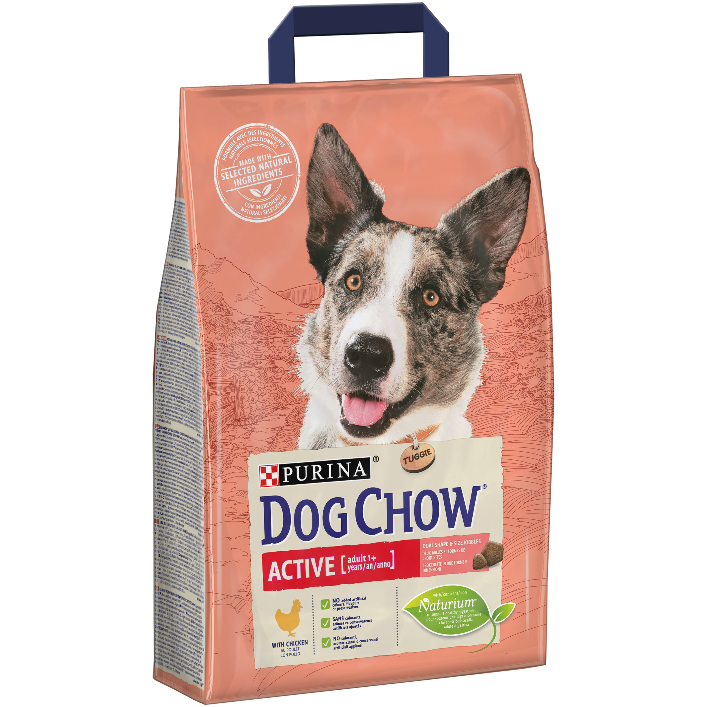 DOG CHOW ACTIVE cu Pui, 2.5 kg Dog Chow