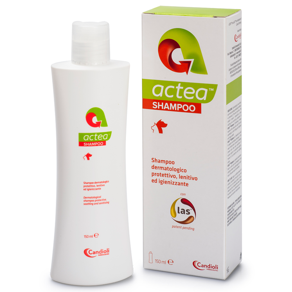 Acteea shampoo, dermatologic, 150 ml