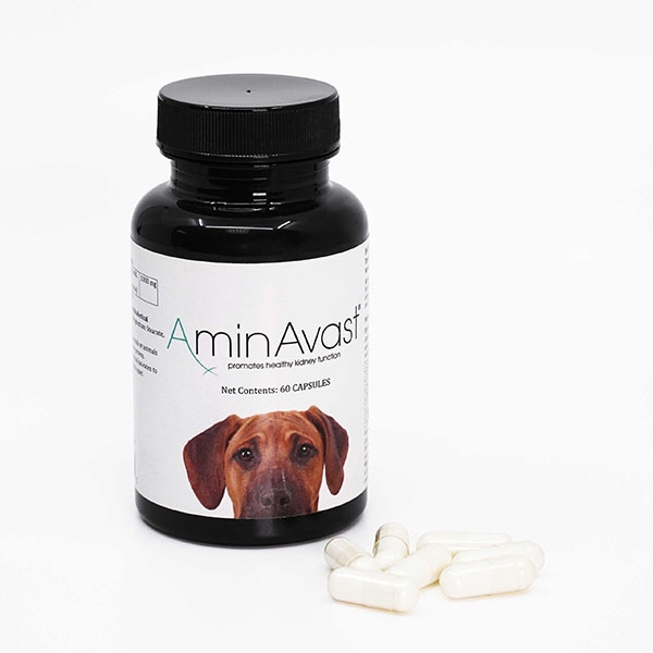 Aminavast, 1000 mg/ 60 capsule Biohealth Solutions
