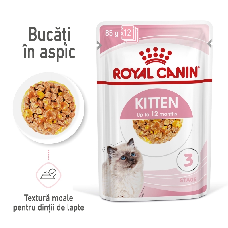Royal Canin Kitten hrana umeda pisica (aspic), 12 x 85 g petmart
