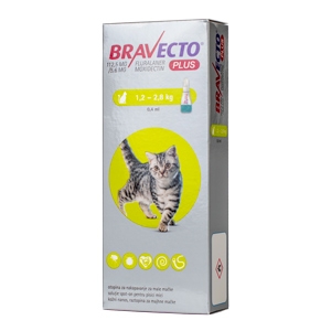 Bravecto Plus Spot On Cat 112,5 mg (1.2-2.8 kg) x 1 MSD imagine 2022