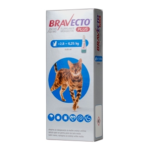 Bravecto Plus Spot On Cat 250 mg (2.8-6.25 kg) x 1 MSD imagine 2022
