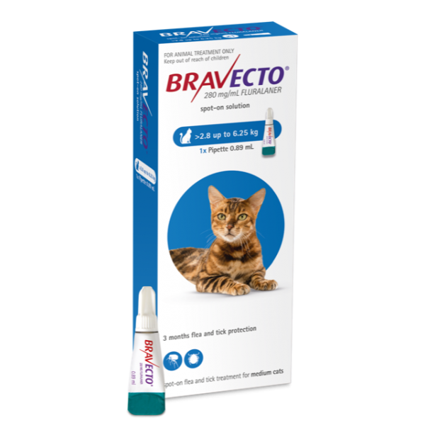 Bravecto Plus Spot On Cat 250 mg (2.8 - 6.25 kg), 1 pipeta