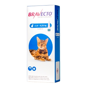 Bravecto Spot on Cat 250 mg (2.8 – 6.25 kg) x 1 MSD imagine 2022