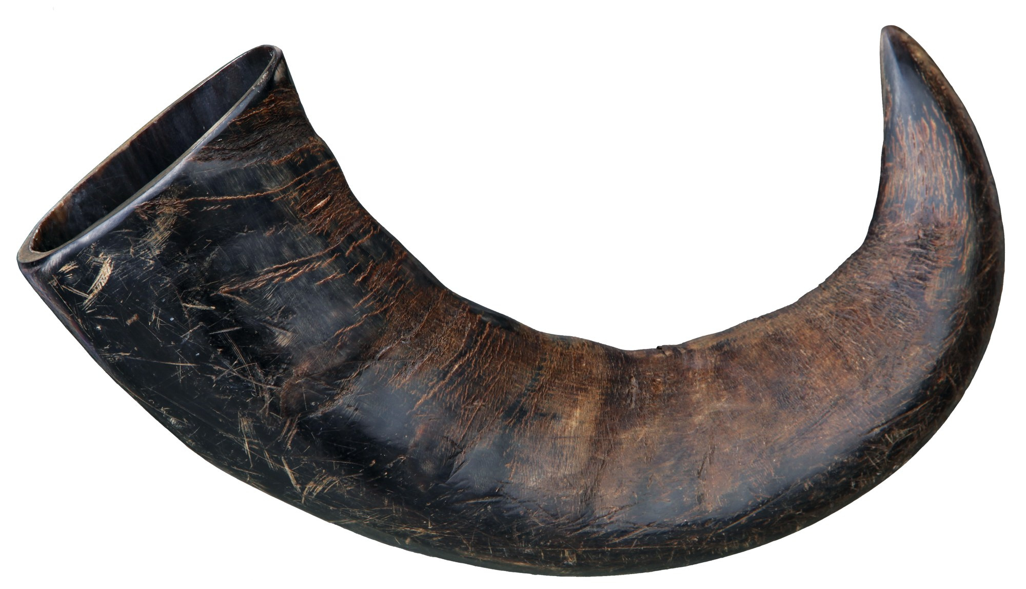Corn natural mare de bivol 27743