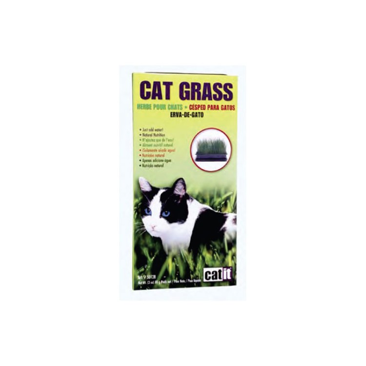 Hagen Iarba Pisica Cat Grass 85 g