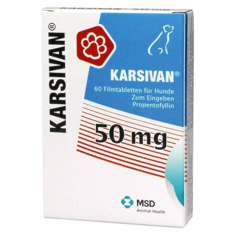 Karsivan 50 mg 60 tablete - imbunatatirea circulatiei la nivel cerebral