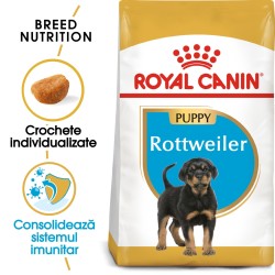 Royal Canin Rottweiler Puppy hrana uscata caine junior