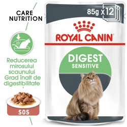 Royal Canin Digest Sensitive Care Adult hrana umeda pisica, confort digestiv (in sos), 12 x 85 g