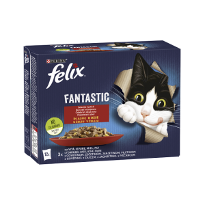 FELIX FANTASTIC GiJ MV Ctrysd 6(12x85g)X3