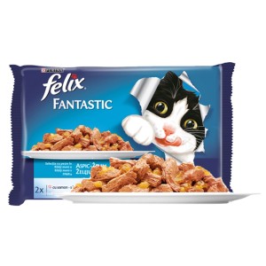 FELIX FNTC GiJ MV Smn&Plc 12(4x85g)XG