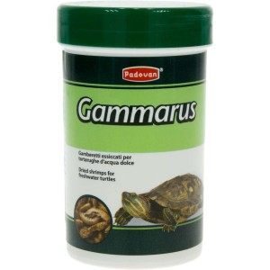 Hrana broaste testoase, Padovan Gammarus, 12g 100ml
