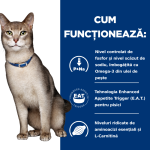 Hill's PD Feline K/D, 400 g - functioneaza