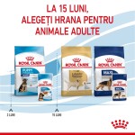 Royal Canin Maxi Puppy hrana umeda caine junior (in sos), 10 x 140 g - gama