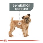 Royal Canin Dental Care Mini Adult - rasa