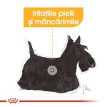 Royal Canin Dermacomfort Mini - talie