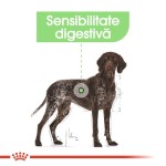 Royal Canin Maxi Digestive Care - talie