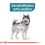Royal Canin Joint Care Maxi - talie