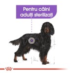 Royal Canin Sterilised Maxi - talie