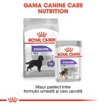 Royal Canin Sterilised Maxi - gama