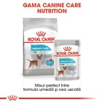 Royal Canin Urinary Care Mini - gama