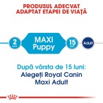 Royal Canin Puppy Maxi - talie