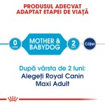 Royal Canin Starter Mother & Babydog Maxi - talie