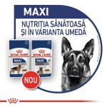 Royal Canin Maxi Adult, 10 x 140 g - nou