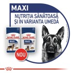 Royal Canin Maxi Ageing 8+, 140 g - nou