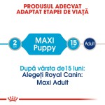 Royal Canin Puppy Maxi, 140 g - talie