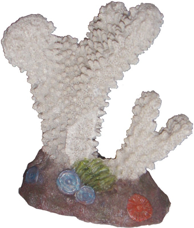 Decor Acvariu coral 10cm 407D petmart