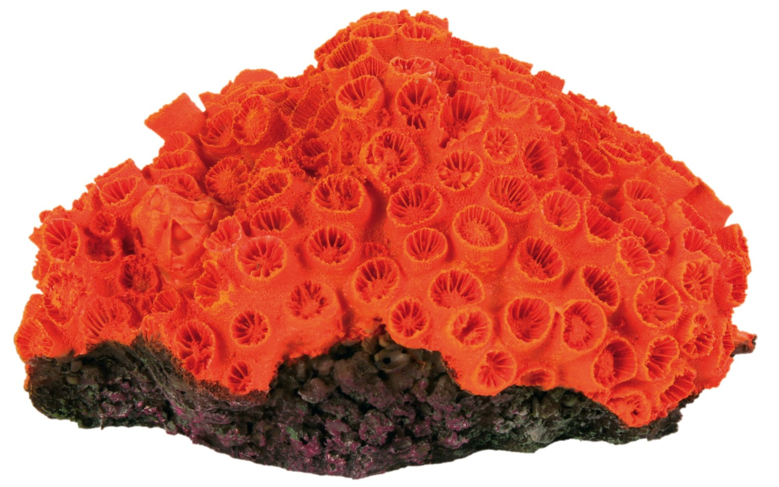 Decor Coral 4 buc/set 10-13 cm 8809 petmart.ro imagine 2022