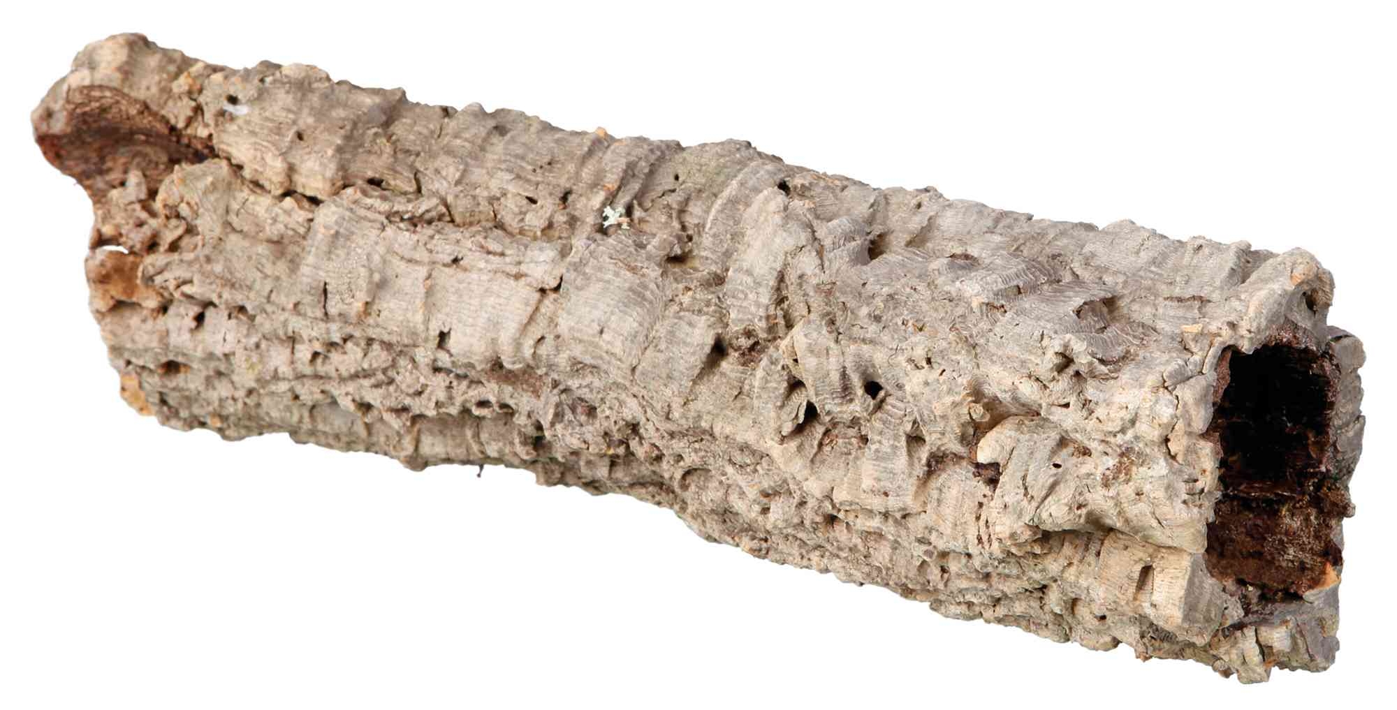 Decor Terariu Scoarta Copac 10 – 40 cm 76400 petmart