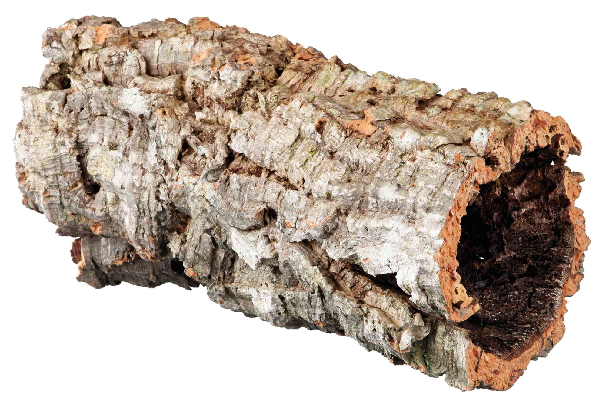 Decor Terariu Scoarta Copac 14 – 40 cm 76401 petmart