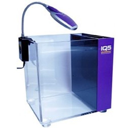 Dymax IQ5/Mini acvariu acril cu filtru intern Purple Amethyst Dymax