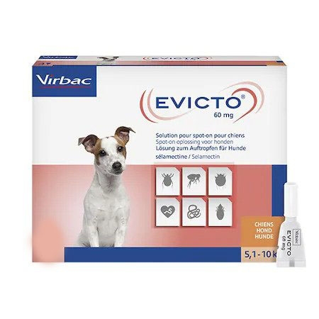 Evicto 60 mg pentru câini de 5.1 – 10.0 kg Evicto imagine 2022