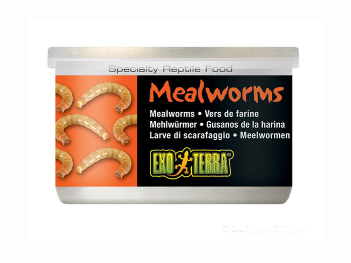 Hrana reptile Hagen Meniu Exo Terra Mealworms 34 g