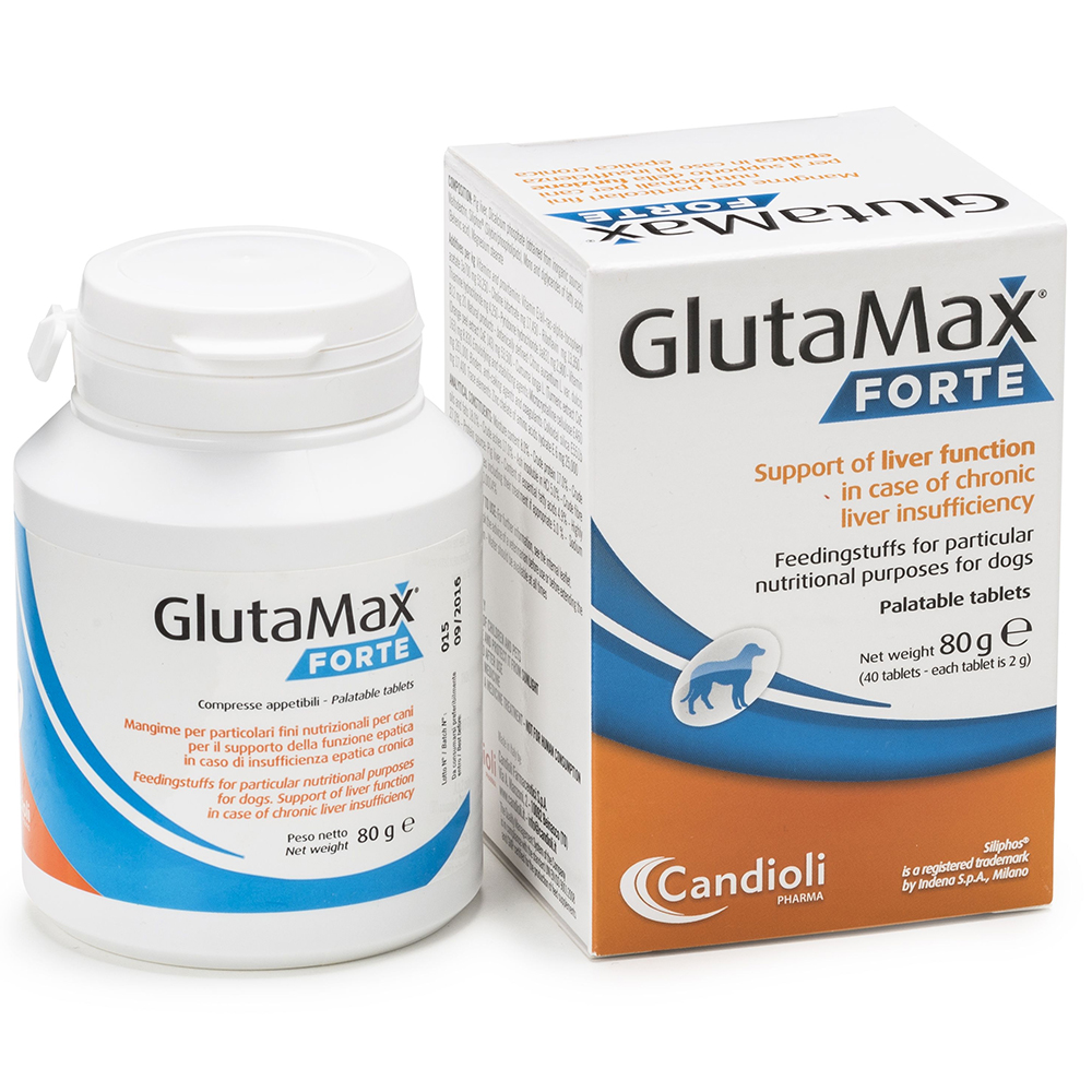 Glutamax Forte 40 comprimate imagine