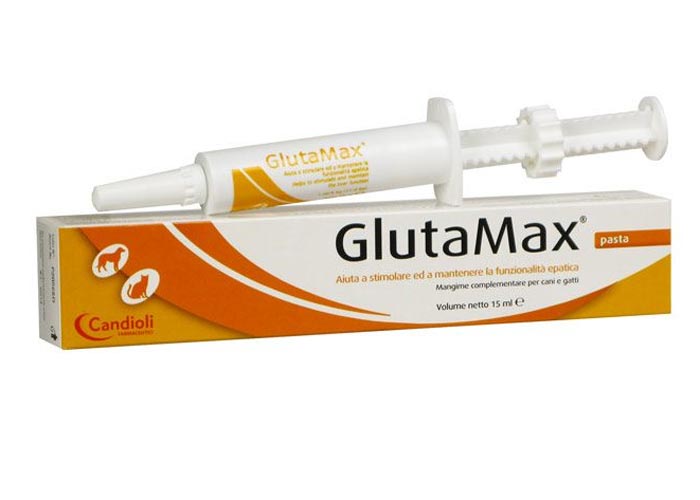 Glutamax Forte Cat 15 ml pasta