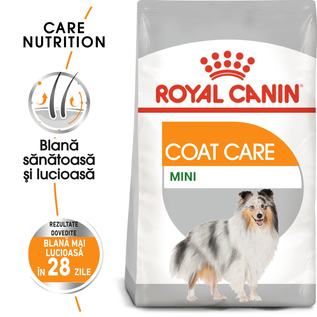 Royal Canin Mini Coat Care Adult hrana uscata caine, blana sanatoasa si lucioasa petmart.ro
