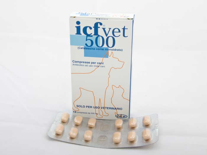 TSEFALEN 500 mg 12 tablete imagine