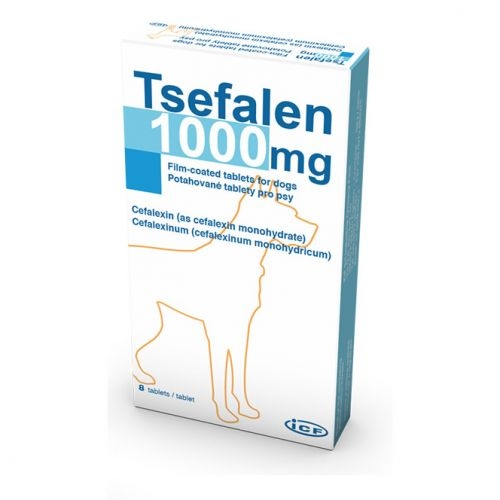 Tsefalen, 1000 mg/ 8 tablete ICF Vet imagine 2022