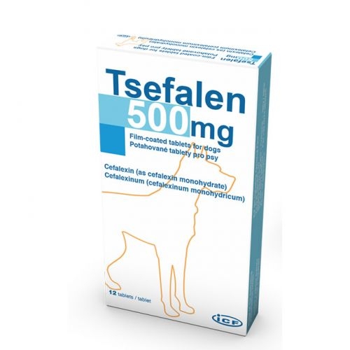 Tsefalen, 500 mg/ 12 tablete ICF Vet imagine 2022